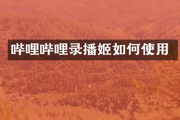 哔哩哔哩录播姬如何使用