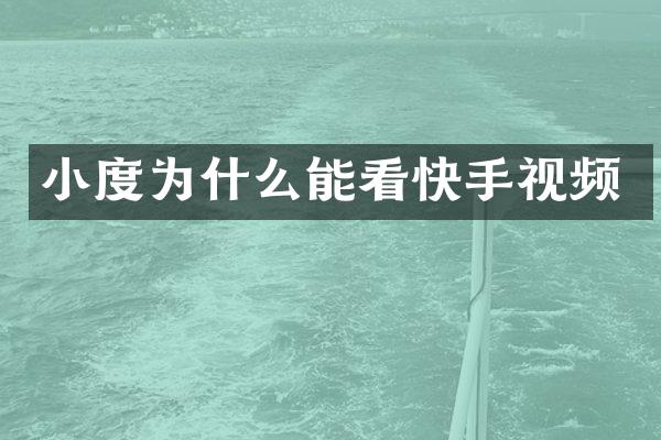小度为什么能看快手视频