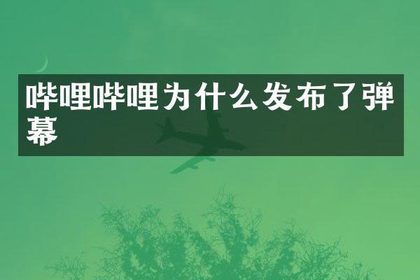 哔哩哔哩为什么发布了弹幕