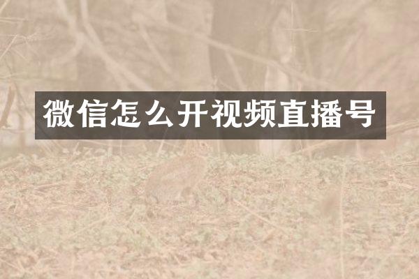 微信怎么开视频直播号