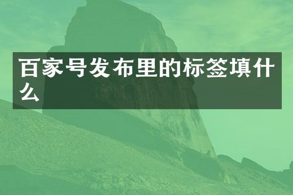 百家号发布里的标签填什么