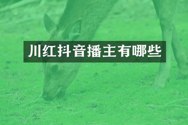 川红抖音播主有哪些