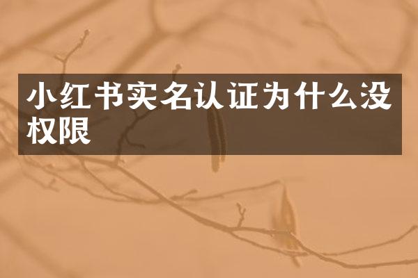 小红书实名认证为什么没权限