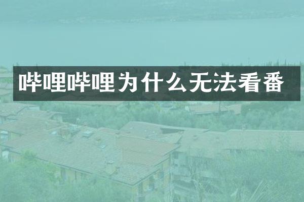 哔哩哔哩为什么无法看番