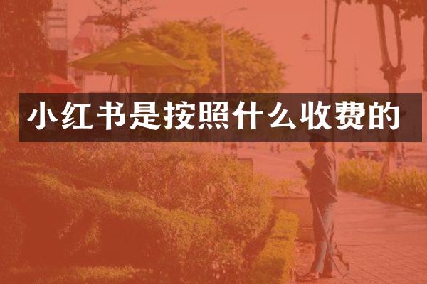 小红书是按照什么收费的