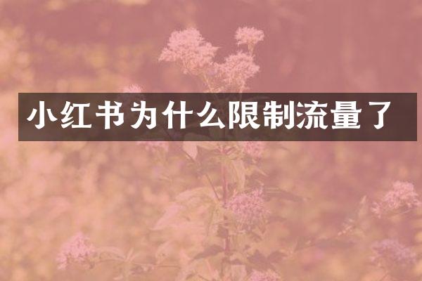 小红书为什么限制流量了