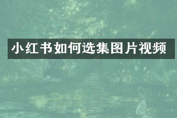 小红书如何选集图片视频