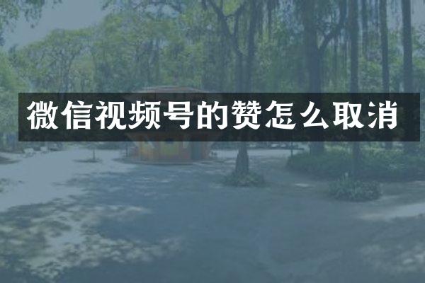 微信视频号的赞怎么取消