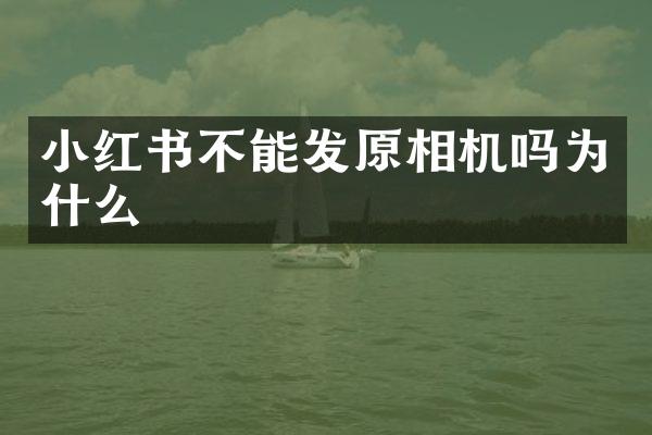 小红书不能发原相机吗为什么
