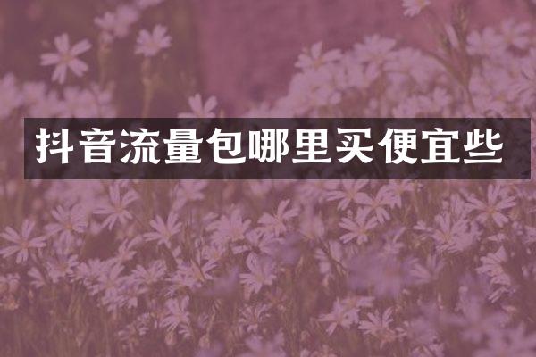抖音流量包哪里买便宜些