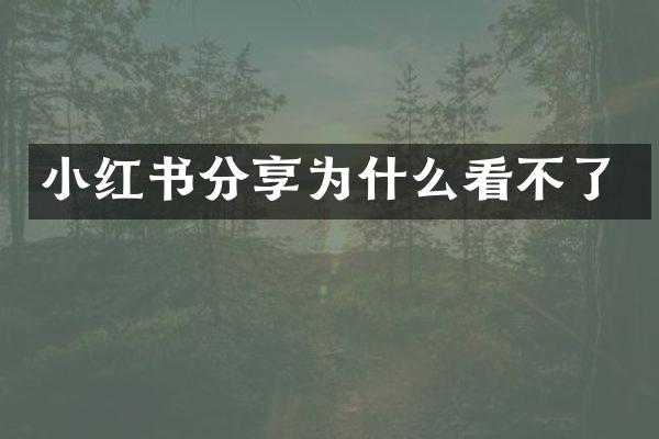 小红书分享为什么看不了