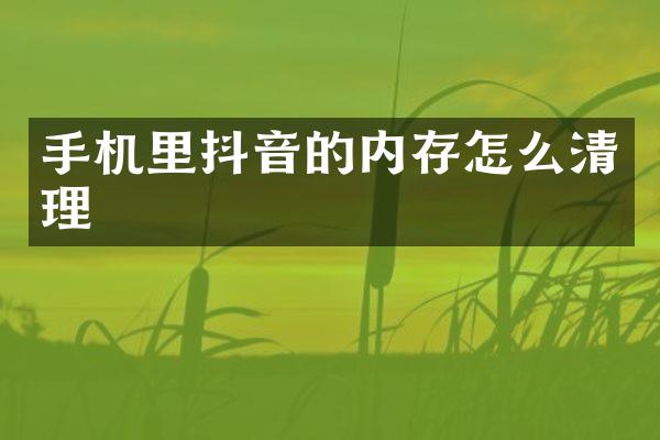 手机里抖音的内存怎么清理