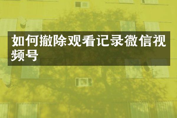 如何撤除观看记录微信视频号