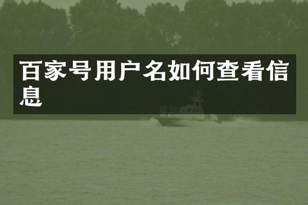 百家号用户名如何查看信息