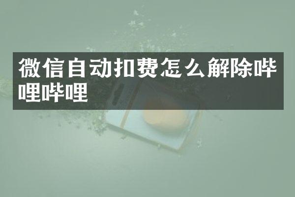 微信自动扣费怎么解除哔哩哔哩