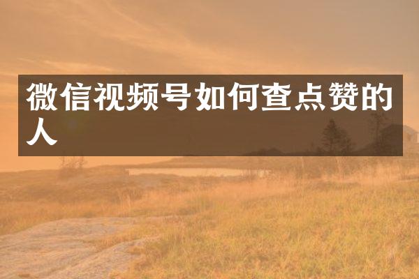 微信视频号如何查点赞的人