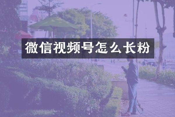 微信视频号怎么长粉