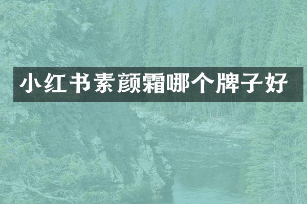 小红书素颜霜哪个牌子好