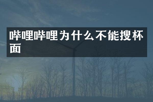 哔哩哔哩为什么不能搜杯面