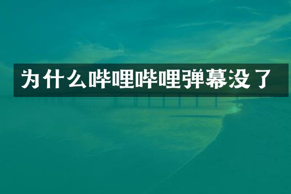 为什么哔哩哔哩弹幕没了