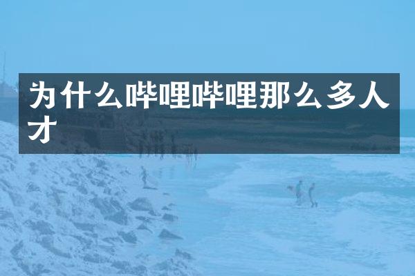 为什么哔哩哔哩那么多人才