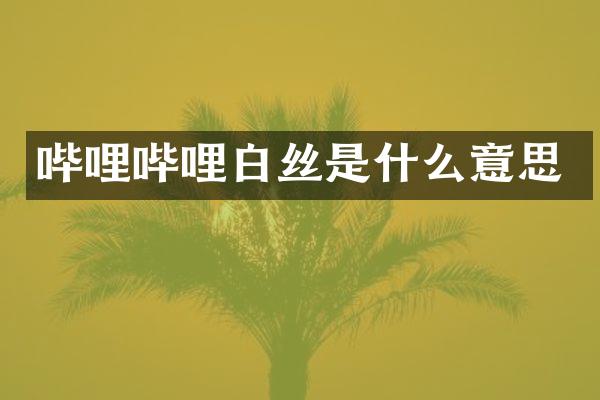 哔哩哔哩白丝是什么意思
