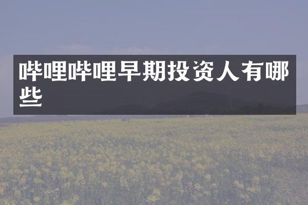 哔哩哔哩早期投资人有哪些
