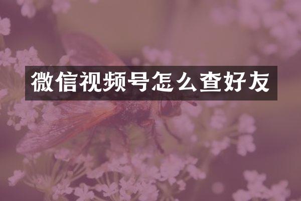 微信视频号怎么查好友