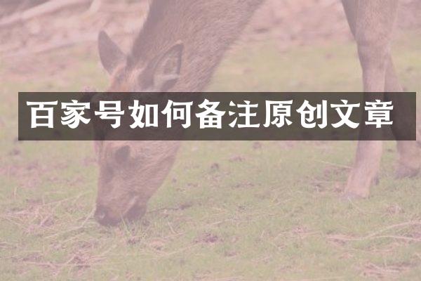 百家号如何备注原创文章