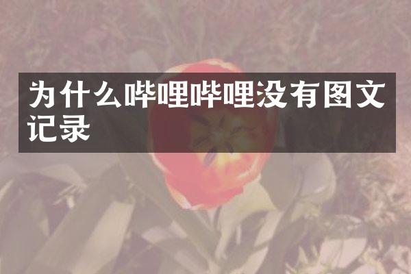 为什么哔哩哔哩没有图文记录