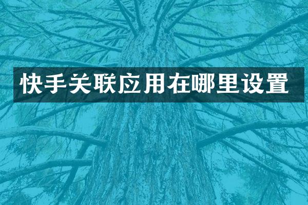 快手关联应用在哪里设置