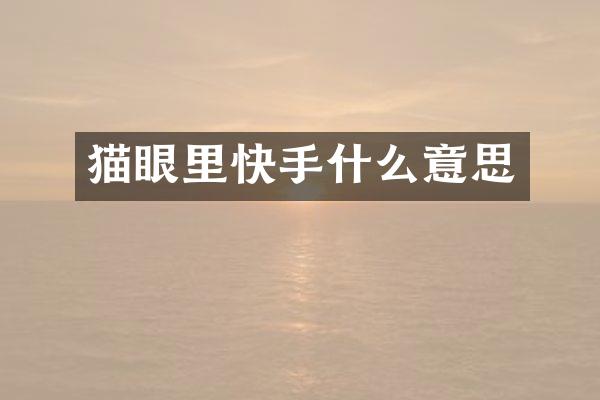 猫眼里快手什么意思