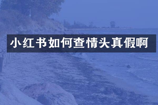 小红书如何查情头真假啊