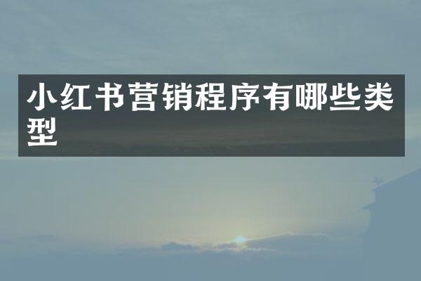 小红书营销程序有哪些类型