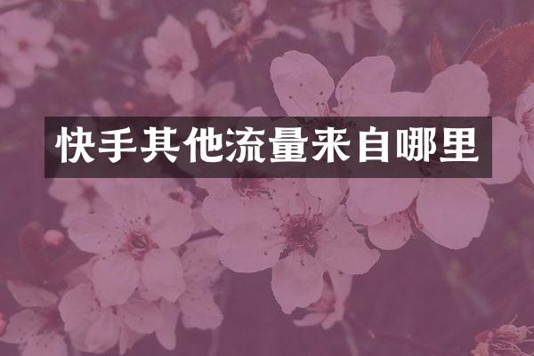 快手其他流量来自哪里