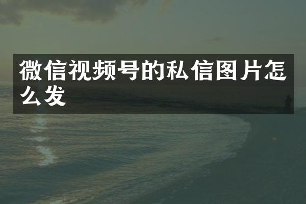 微信视频号的私信图片怎么发