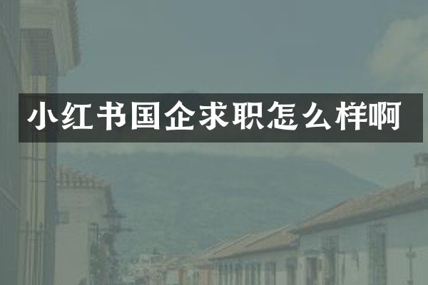 小红书国企求职怎么样啊
