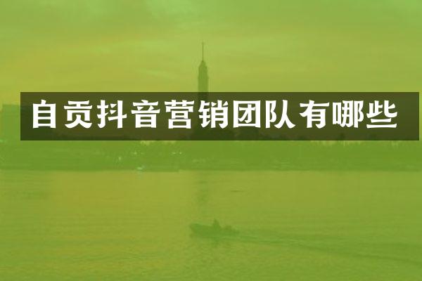 自贡抖音营销团队有哪些