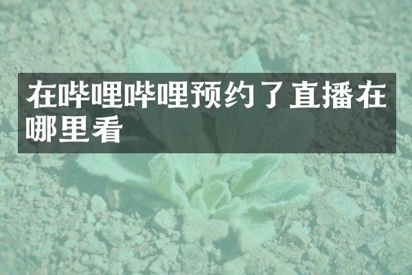 在哔哩哔哩预约了直播在哪里看