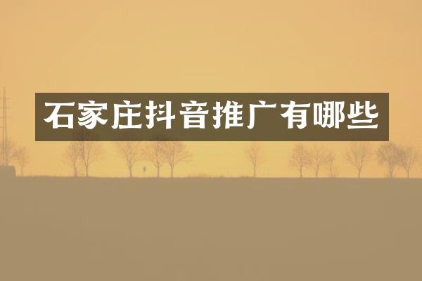 石家庄抖音推广有哪些