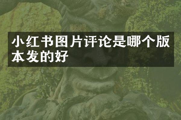 小红书图片评论是哪个版本发的好
