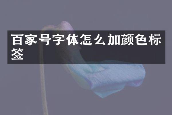 百家号字体怎么加颜色标签