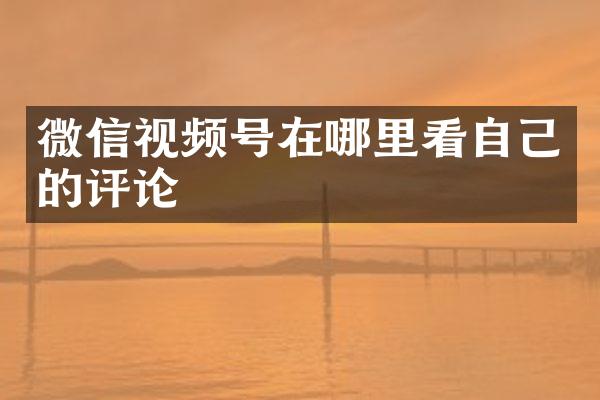 微信视频号在哪里看自己的评论