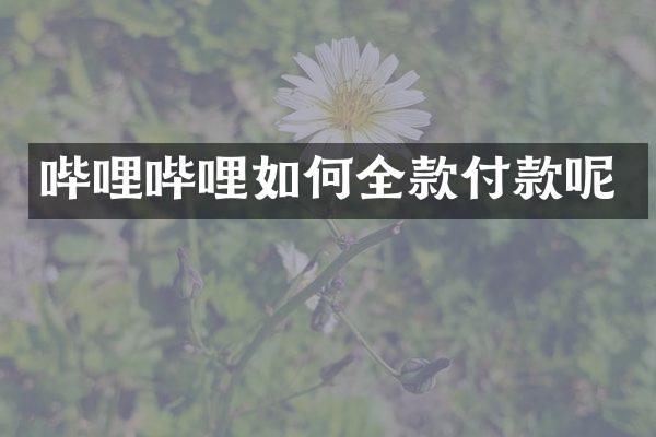 哔哩哔哩如何全款付款呢