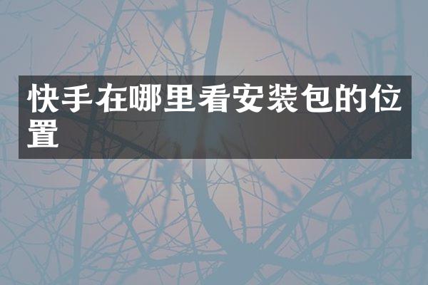 快手在哪里看安装包的位置