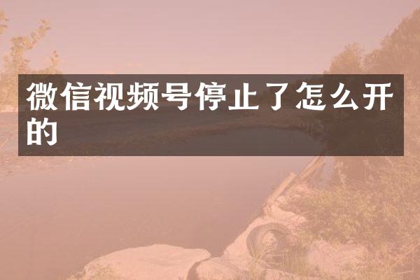 微信视频号停止了怎么开的