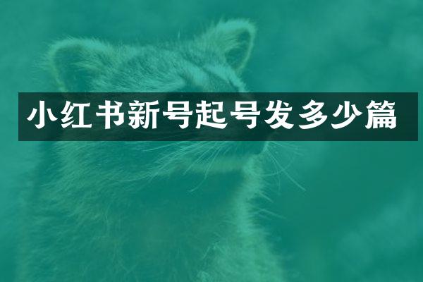 小红书新号起号发多少篇