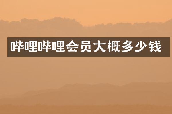 哔哩哔哩会员大概多少钱