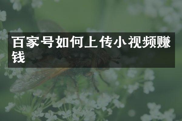 百家号如何上传小视频赚钱