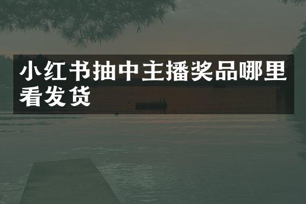 小红书抽中主播奖品哪里看发货
